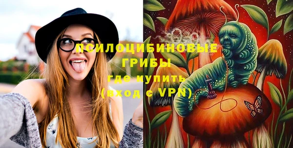 apvp Бронницы