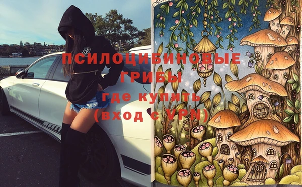 кокаин перу Богданович