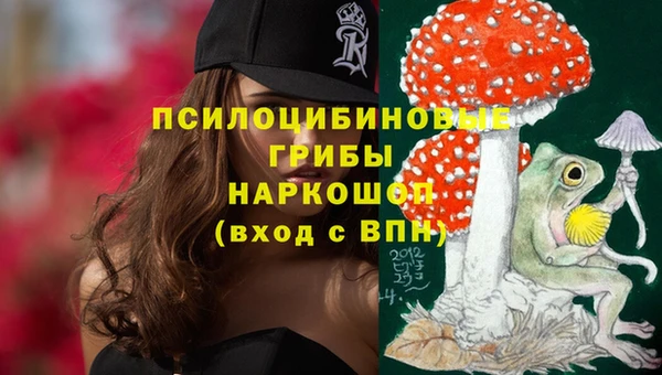 амф Бородино