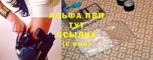 амф Бородино