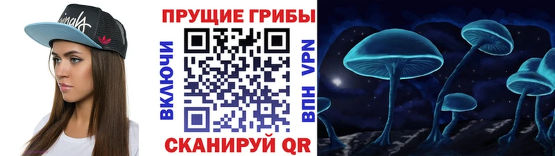 Псилоцибиновые грибы Cubensis  Среднеуральск 